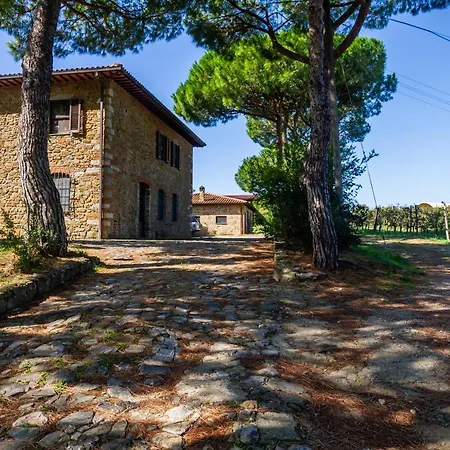 Il Cancellone - Tartaruga Montiano (Tuscany)