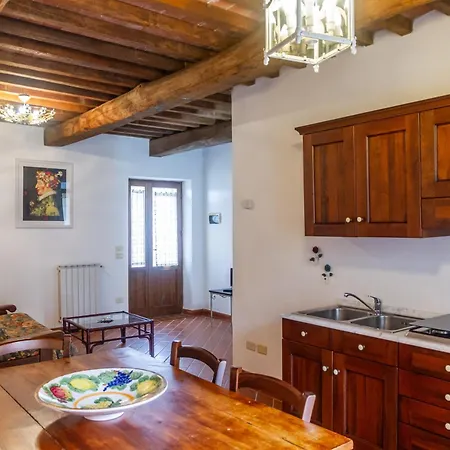 Il Cancellone - Tartaruga * Montiano (Tuscany)