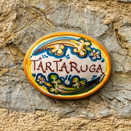 Il Cancellone - Tartaruga