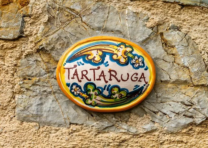 Il Cancellone - Tartaruga * Montiano (Tuscany)